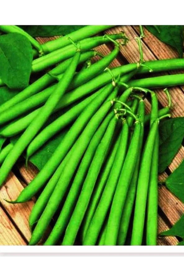 AGRODAL TARIM Ata Tohumu Yerli Oturak Taze Yeşil Fasulye Elif 50 Adet Doğal Tohum ürün görseli