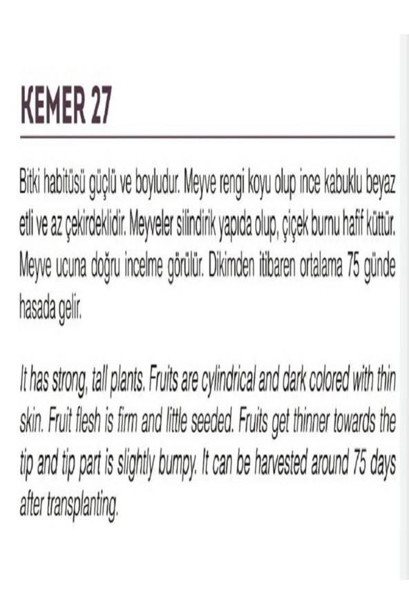 AGRODAL TARIM Ata Tohumu Yöresel Yerli Doğal Kemer Patlıcan Tohumu 1000 Adet Tohum - Resim 2