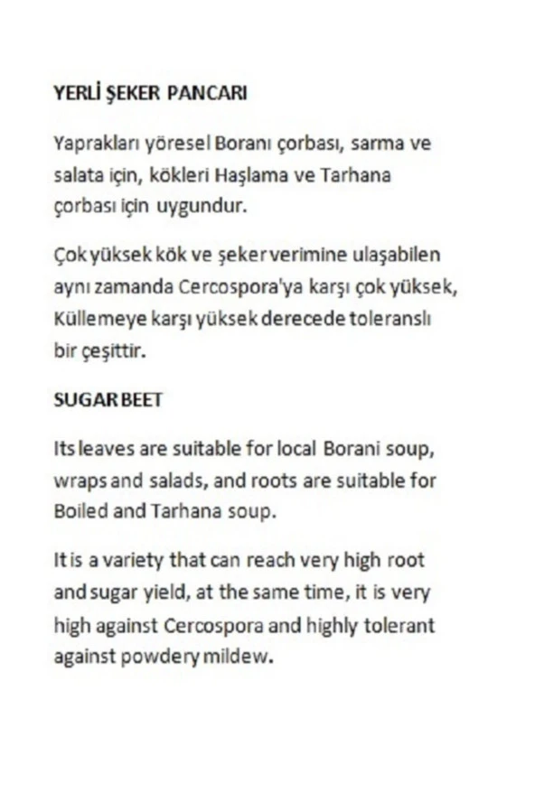 AGRODAL TARIM Ata Tohumu Yerli Doğal Beyaz Şeker Pancarı 100 Adet Tohum - Resim 2