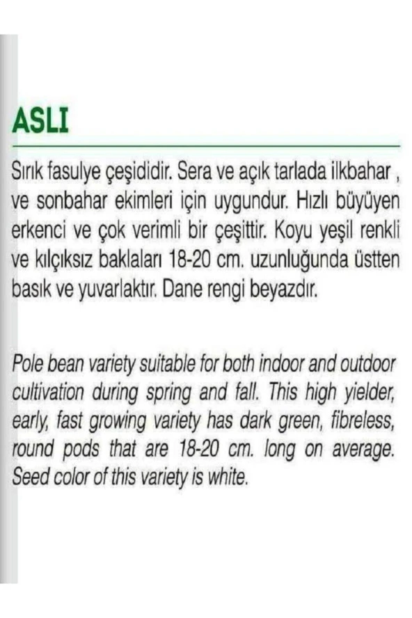 AGRODAL TARIM Ata Tohumu Yerli Doğal Taze Sırık Fasulye Aslı 50 Adet Tohum - Resim 3