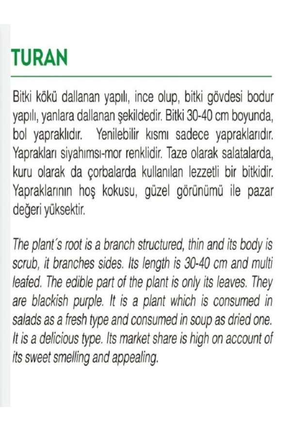 AGRODAL TARIM Ata Tohumu Yerli Doğal Kokulu Mor Reyhan Turan 1000 Adet Sebze Tohumu - Resim 2