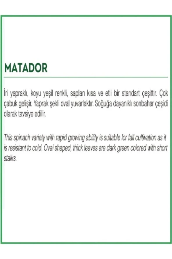AGRODAL TARIM Ata Tohumu Yerli Doğal Ispanak Tohumu 500 Adet Tohum - Resim 4