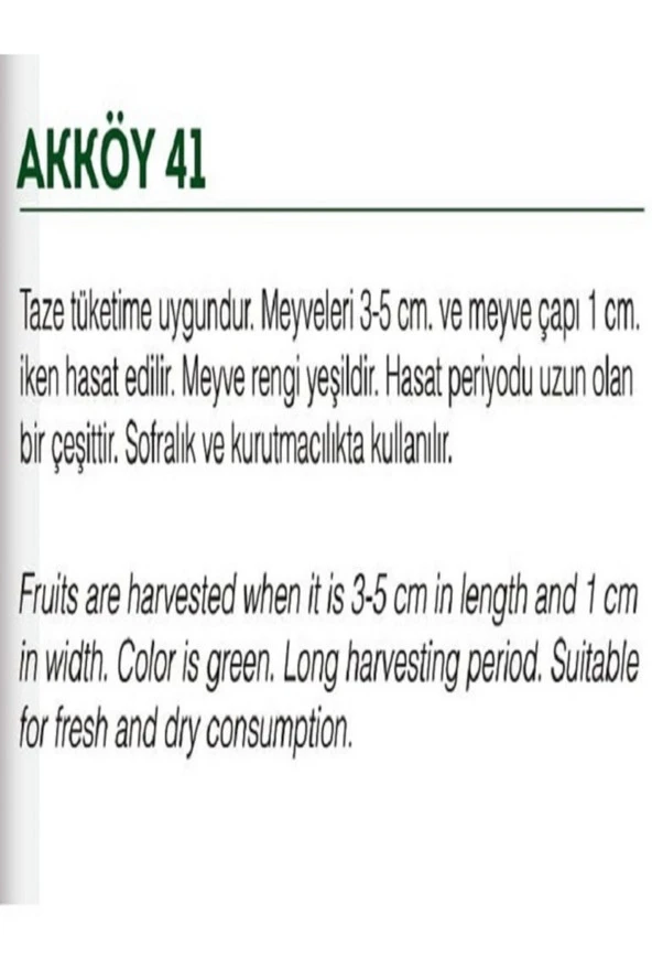 AGRODAL TARIM Ata Tohumu Yerli Bamya 100 Adet Doğal Tohum - Resim 2