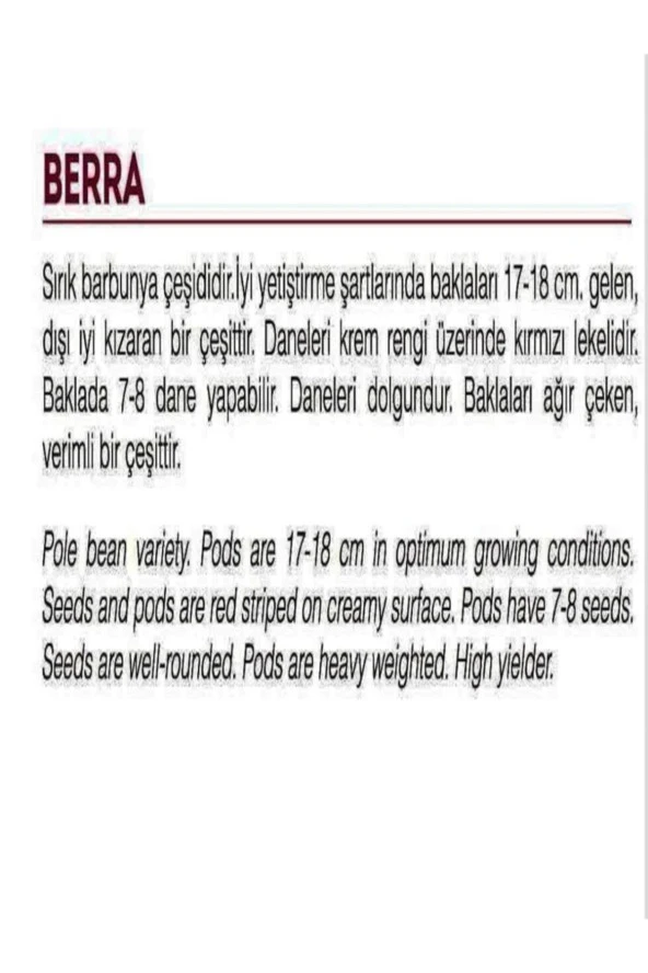 AGRODAL TARIM Yerli Sırık Barbunla Berra 50 Adet Tohum - Resim 2