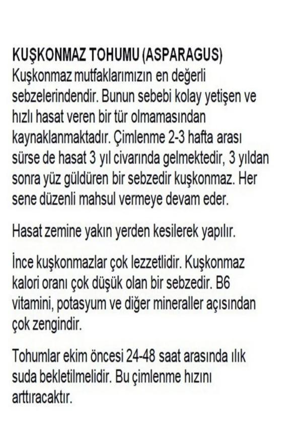 AGRODAL TARIM Ata Tohumu Yerli Doğal Kuşkonmaz Tohumu Asparagus 40 Adet Tohum - Resim 2