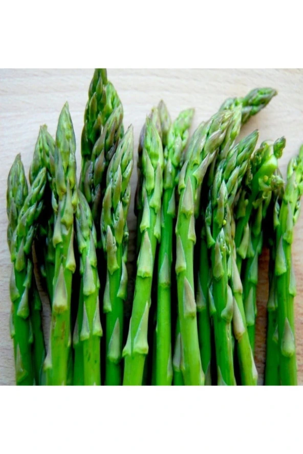 AGRODAL TARIM Ata Tohumu Yerli Doğal Kuşkonmaz Tohumu Asparagus 40 Adet Tohum - Resim 3