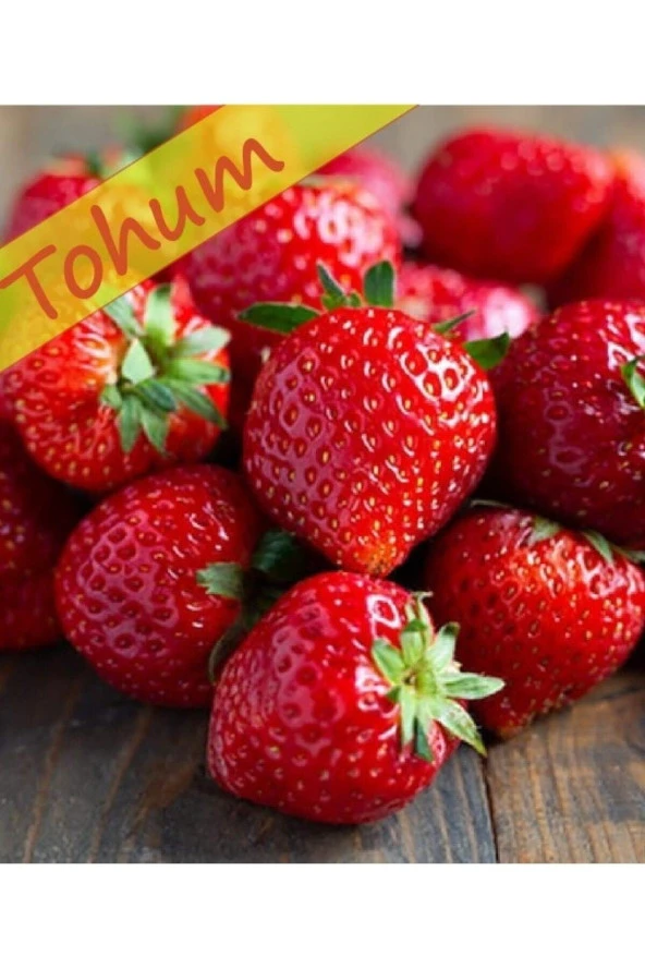 AGRODAL TARIM Yerli Çilek Yediveren Tohum 0,1 gr ürün görseli