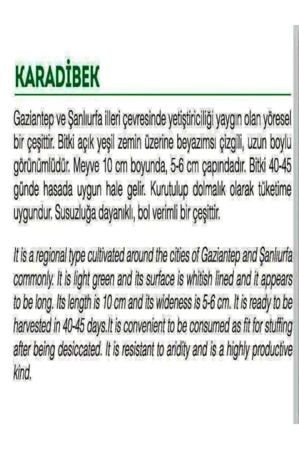 AGRODAL TARIM Ata Tohumu Doğal Yerli Turşuluk Kara Acur Karadibek 100 Adet Tohum - Resim 2