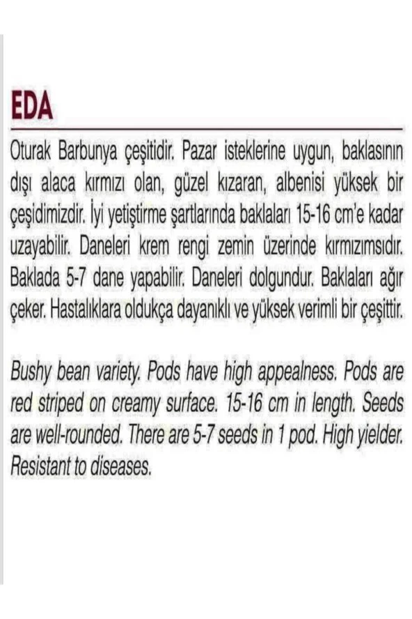 AGRODAL TARIM Yerli Oturak Barbunya Eda Tohum 50 Adet - Resim 2