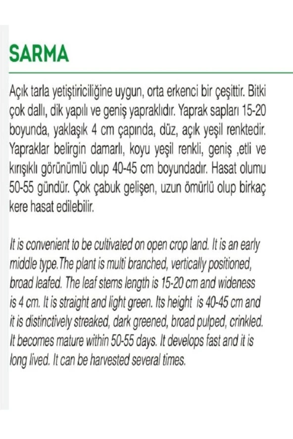 AGRODAL TARIM Ata Tohumu Yerli Doğal Yaprak Pazı Sarma 100 Adet Tohum - Resim 2