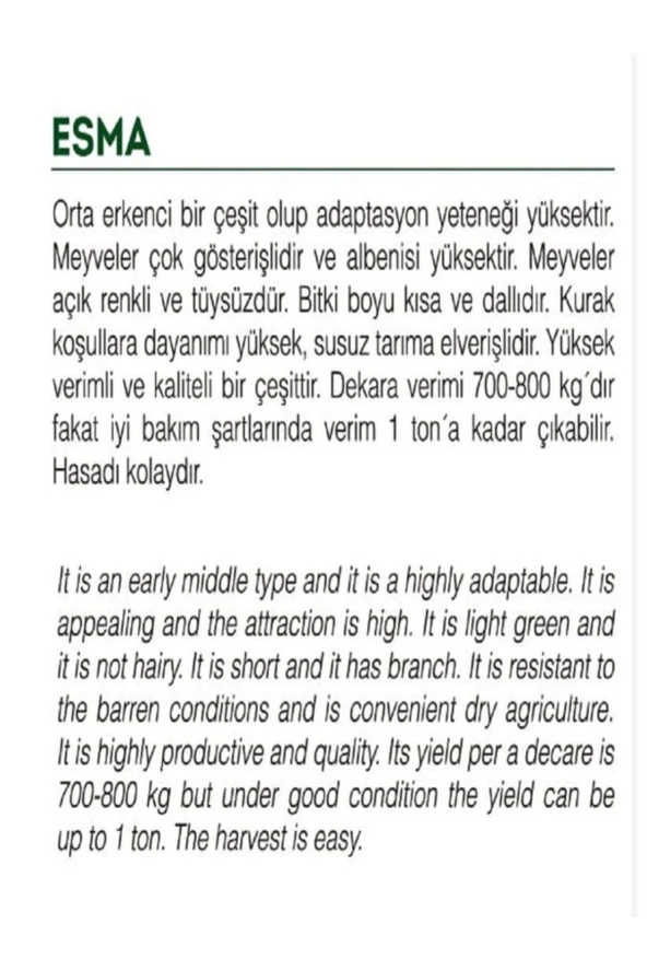 AGRODAL TARIM Ata Tohumu Yerli Doğal Küçük Bamya Çiçek Bamyası 100 Adet Tohum - Resim 2