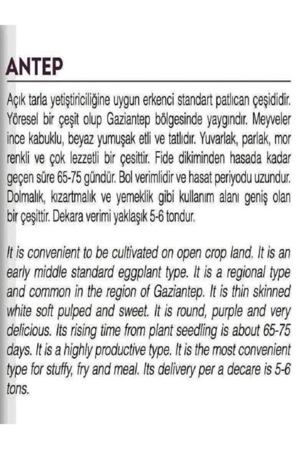 AGRODAL TARIM Ata Tohumu Yerli Antep Patlıcanı 100 Adet Doğal Tohum - Resim 2