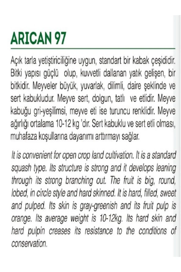 AGRODAL TARIM Ata Tohumu Yerli Kışlık Balkabağı 10 Adet Doğal Tohum - Resim 2