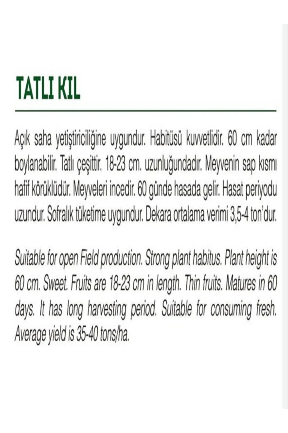 AGRODAL TARIM Ata Tohumu Yöresel Yerli Doğal Tatlı Kıl Sivri Biber 1000 Adet Tohum - Resim 2