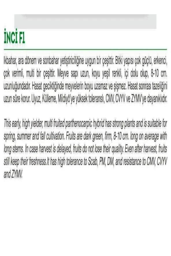 AGRODAL TARIM Hibrit Asma Taze Salatalık Hıyar Inci-f1 10 Adet Tohum - Resim 2