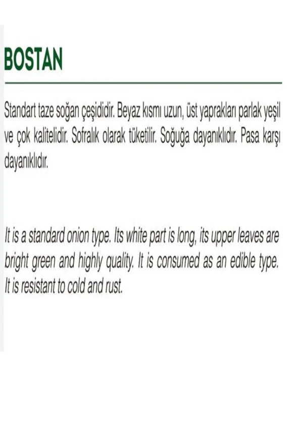 AGRODAL TARIM Ata Tohumu Yerli Doğal Taze Yeşil Soğan Bostan Tohumu 1000 Adet Tohum - Resim 2