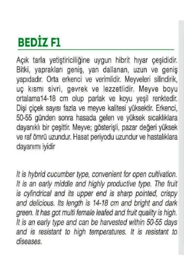 AGRODAL TARIM Yüksek Verimli Hibrit Hıyar Oturak Salatalık Tohumu Bediz-f1 30 Adet Tohum - Resim 2