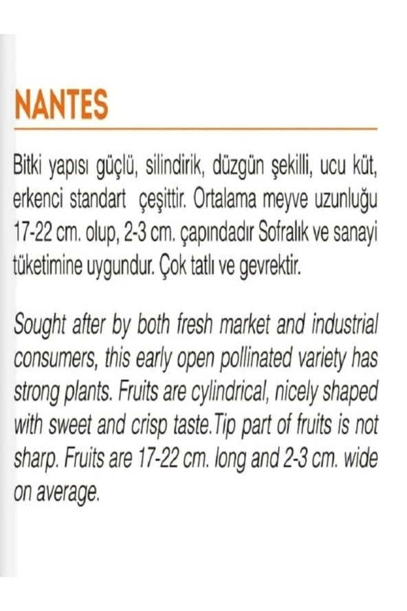 AGRODAL TARIM Ata Tohumu Yerli Havuç Tohumu 1000 Adet Doğal Tohum - Resim 2