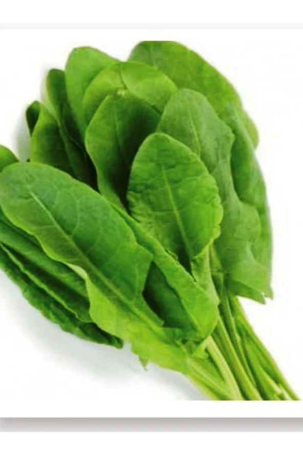 AGRODAL TARIM Ata Tohumu Yerli Doğal Yeşillik Kuzukulağı Gürsel 1000 Adet Sebze Tohumu ürün görseli