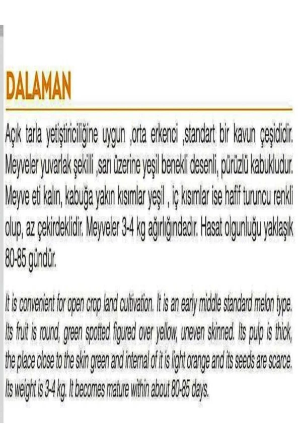 AGRODAL TARIM Ata Tohumu Yerli Kavun Dalaman Kavunu 100 Adet Doğal Tohum - Resim 2