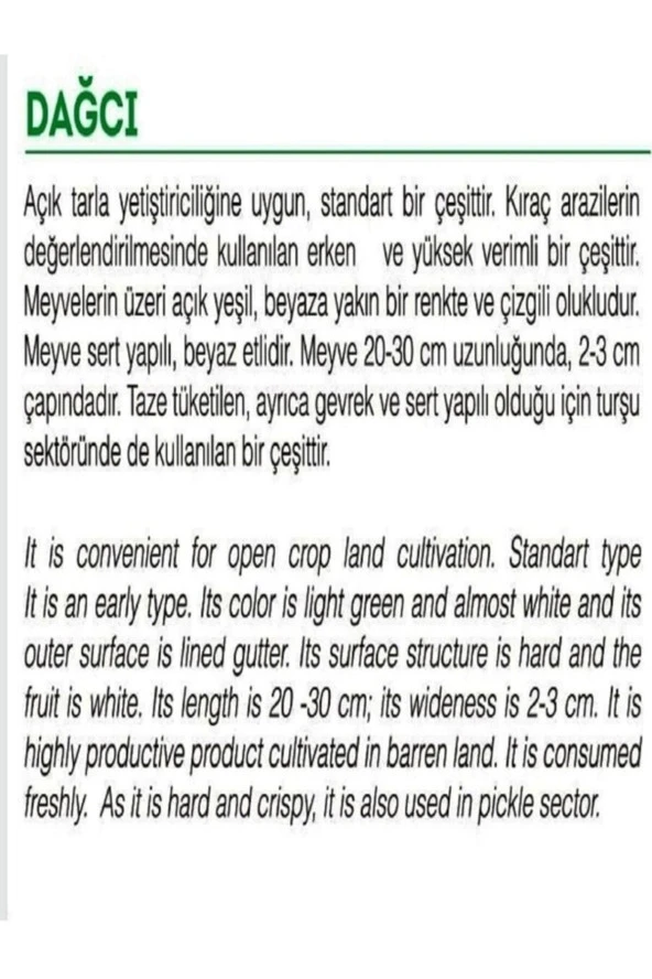 AGRODAL TARIM Ata Tohumu Yerli Hıta Turşuluk Acur Köy Tipi 100 Adet Doğal Tohum - Resim 2