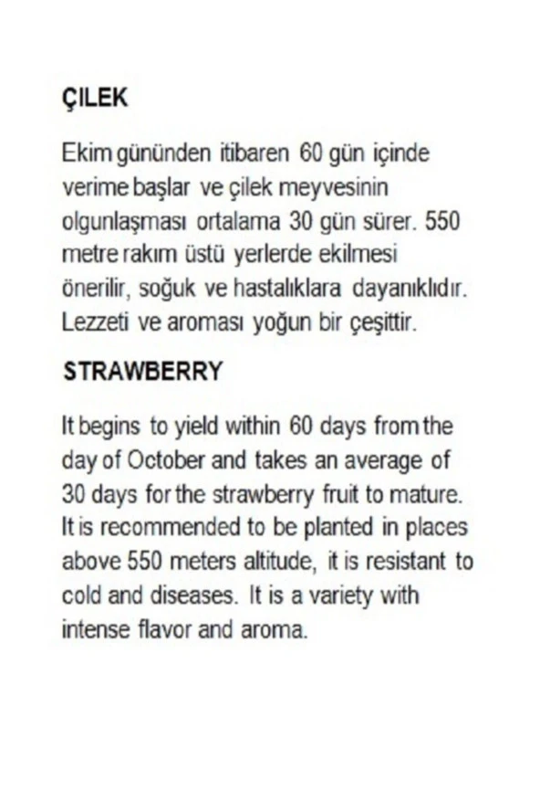 AGRODAL TARIM Yerli Çilek Yediveren Tohum 0,1 gr - Resim 3