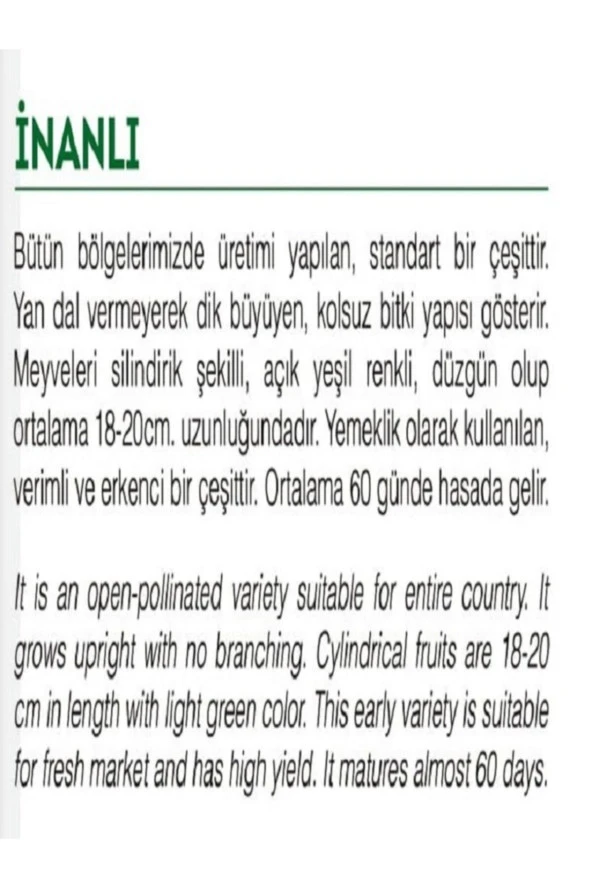 AGRODAL TARIM Ata Tohumu Yerli Doğal Aşlık Dolma Kabak Tohumu 20 Adet Tohum - Resim 2