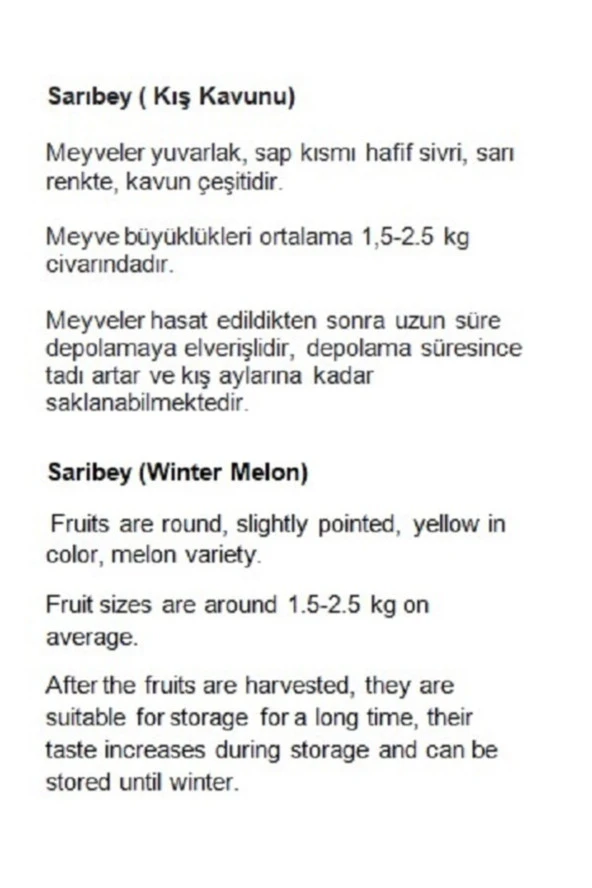 AGRODAL TARIM Ata Tohumu Yerli Doğal Kışlık Kavun Sarıbey 100 Adet Tohum - Resim 2