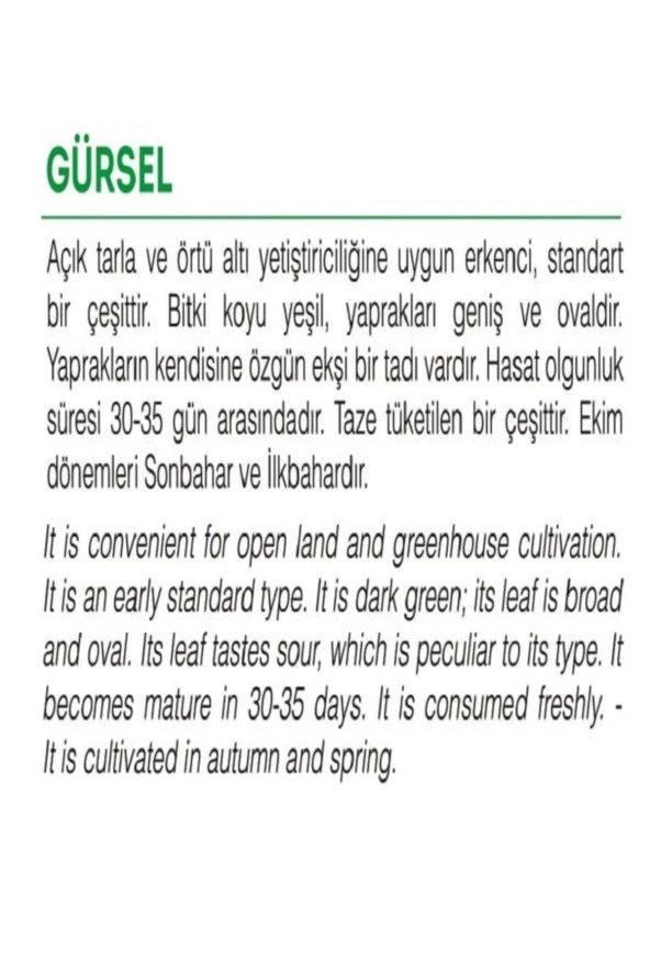 AGRODAL TARIM Ata Tohumu Yerli Doğal Yeşillik Kuzukulağı Gürsel 1000 Adet Sebze Tohumu - Resim 2