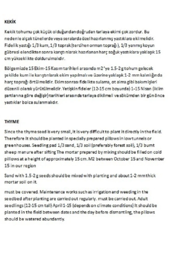 AGRODAL TARIM Ata Tohumu Yerli Doğal Kokulu Kekik Tohumu Yaklaşık 1 gr Tohum - Resim 2