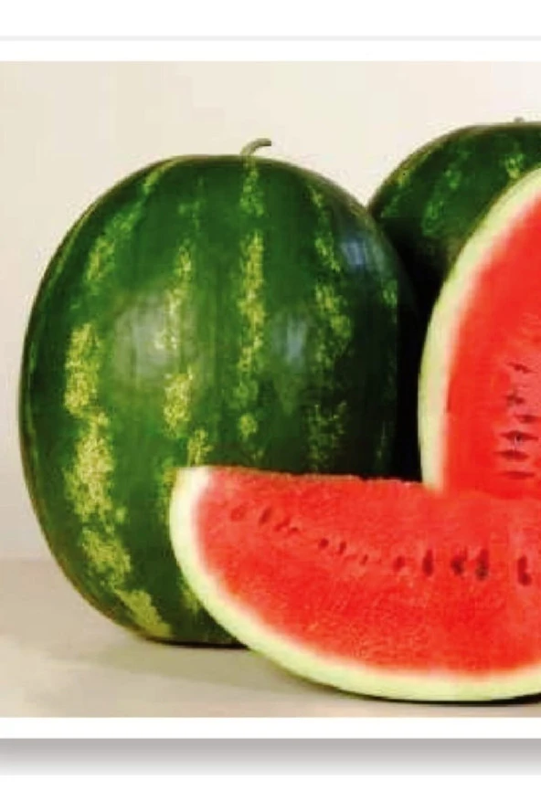 AGRODAL TARIM Ata Tohumu Doğal Diyarbakır Karpuzu Ala Karpuz 100 Adet Yerli Tohum ürün görseli
