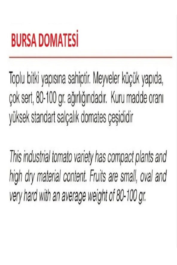 AGRODAL TARIM Ata Tohumu Yerli Doğal Oturak Salçalık Bursa Domatesi 1000 Adet Tohum - Resim 2