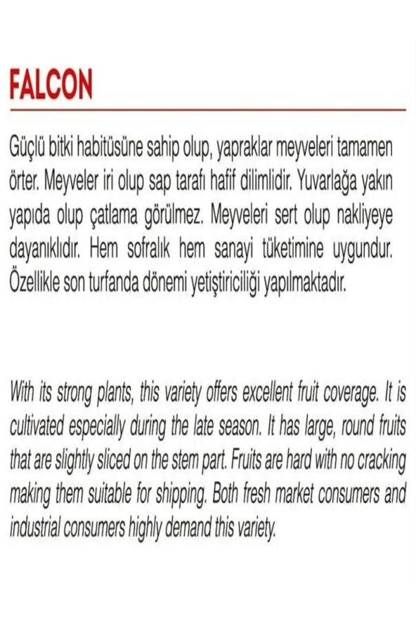 AGRODAL TARIM Ata Tohumu Yerli Doğal Oturak Sofralık Domates 1000 Adet Tohum - Resim 2