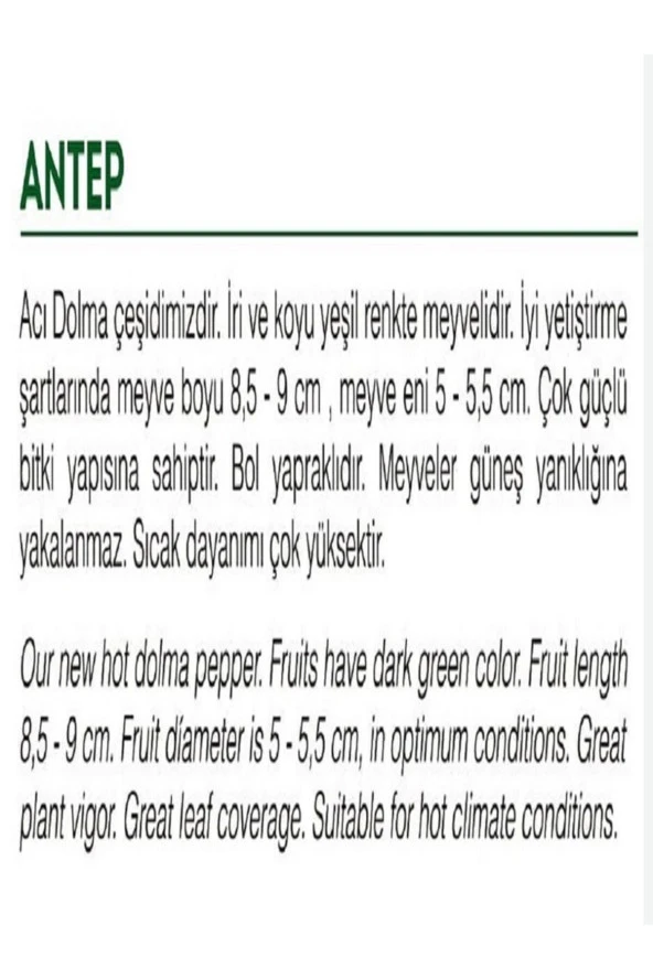 AGRODAL TARIM Ata Tohumu Yöresel Yerli Doğal Acı Dolma Biber Antep 1000 Adet Tohum - Resim 2