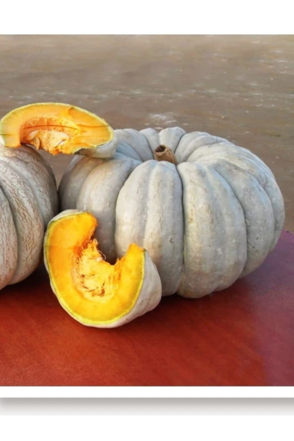 AGRODAL TARIM Ata Tohumu Yerli Kışlık Balkabağı 10 Adet Doğal Tohum ürün görseli