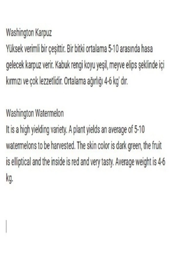 AGRODAL TARIM Ata Tohumu Yerli Doğal Kara Karpuz Washington 50 Adet Sebze Tohumu - Resim 2