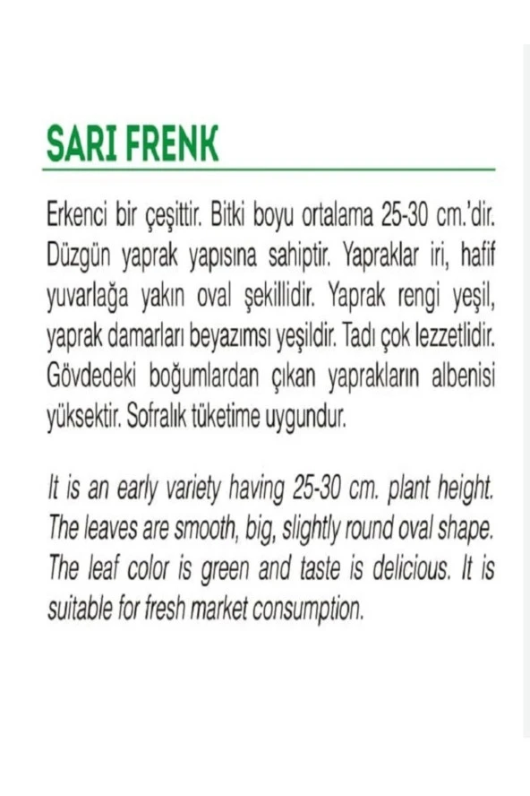 AGRODAL TARIM Ata Tohumu Yerli Doğal Yeşil Semizotu 2000 Adet Sebze Tohumu - Resim 2