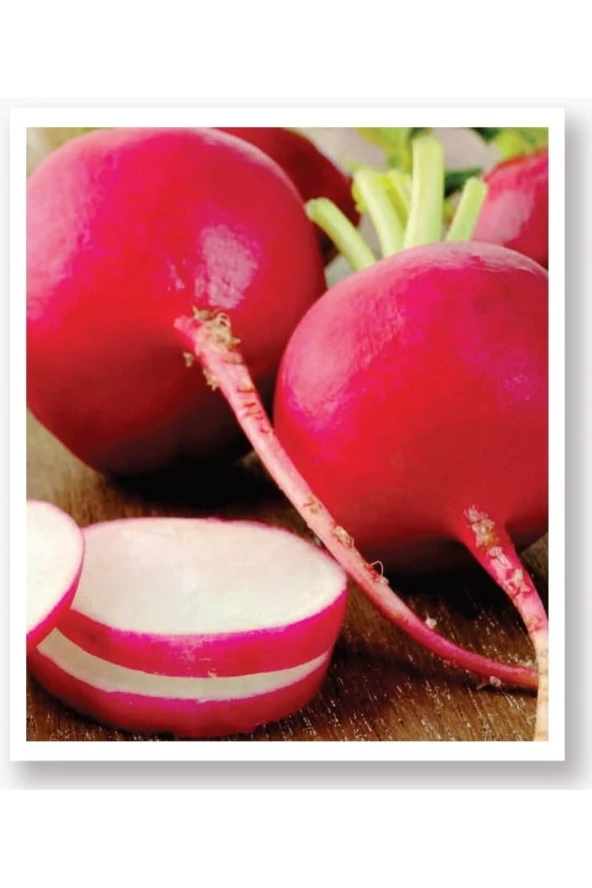 AGRODAL TARIM Ata Tohumu Yöresel Yerli Doğal Kırmızı Antep Turp 500 Adet Tohum ürün görseli