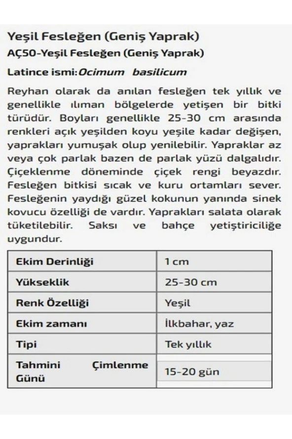 AGRODAL TARIM Yeşil Fesleğen (Geniş Yaprak) Çiçeği 1000 Adet Tohum - Resim 2