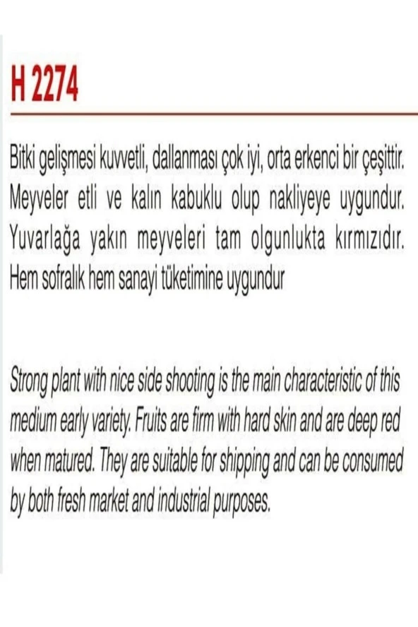 AGRODAL TARIM Ata Tohumu Yerli Doğal Oturak Sofralık Iri Domates 1000 Adet Tohum - Resim 2