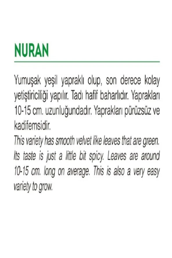 AGRODAL TARIM Ata Tohumu Yerli Yeşillik Doğal Roka Nuran 2000 Adet Sebze Tohumu - Resim 2