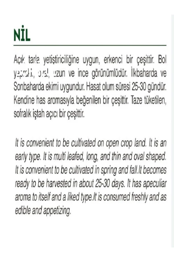 AGRODAL TARIM Ata Tohumu Yerli Doğal Yeşillik Kıl Ince Tere 1000 Adet Sebze Tohumu - Resim 2