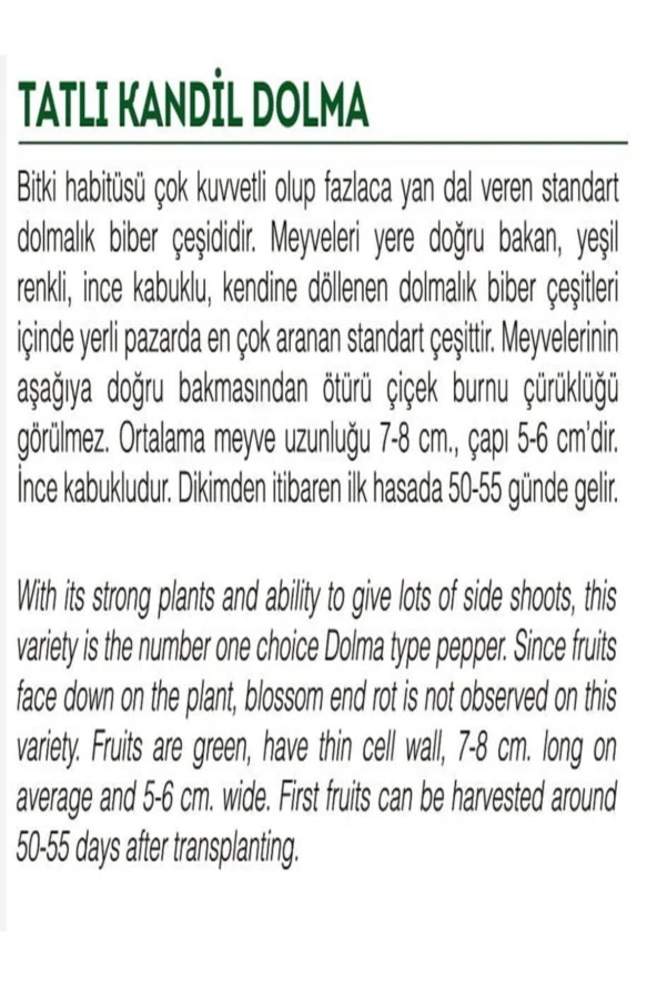 AGRODAL TARIM Ata Tohumu Doğal Tatlı Kandil Dolma Biberi Dolmalık Biber 1000 Adet Yerli Tohum - Resim 2