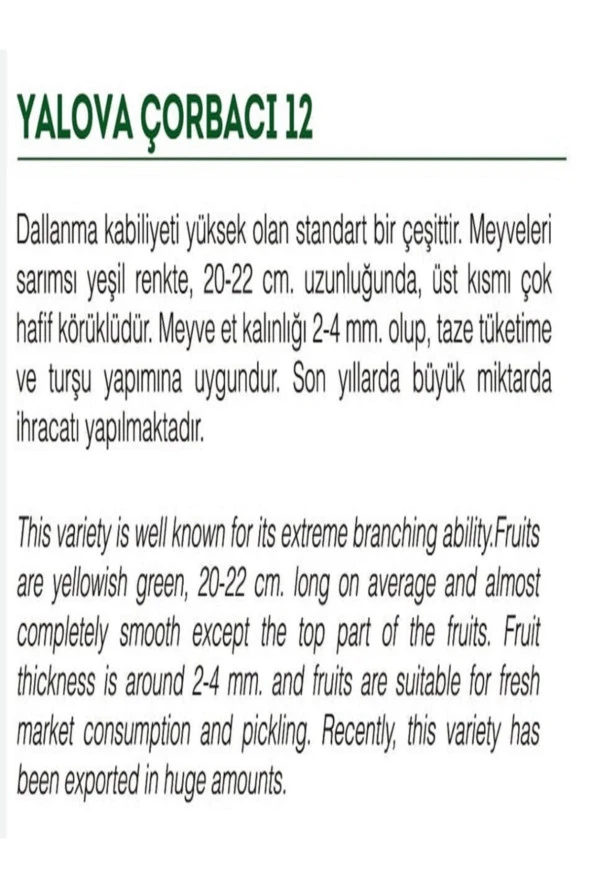 AGRODAL TARIM Ata Tohumu Doğal Tatlı Sivri Biber Yalova Çorbacı 1000 Adet Yerli Tohum - Resim 2
