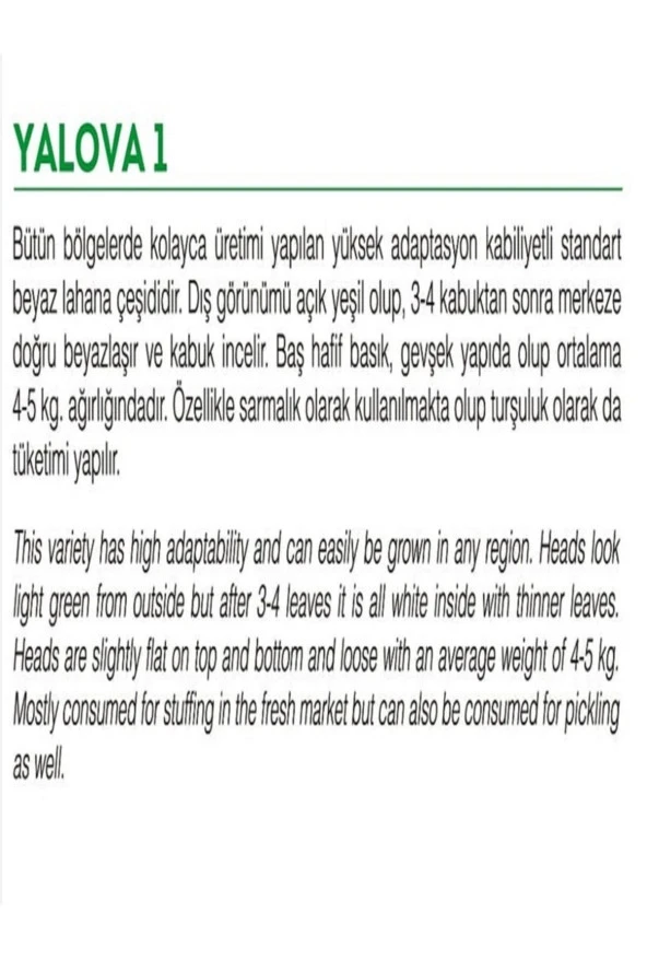AGRODAL TARIM Ata Tohumu Yerli Doğal Beyaz Lahana Yalova Lahanası 1000 Adet Tohum - Resim 2