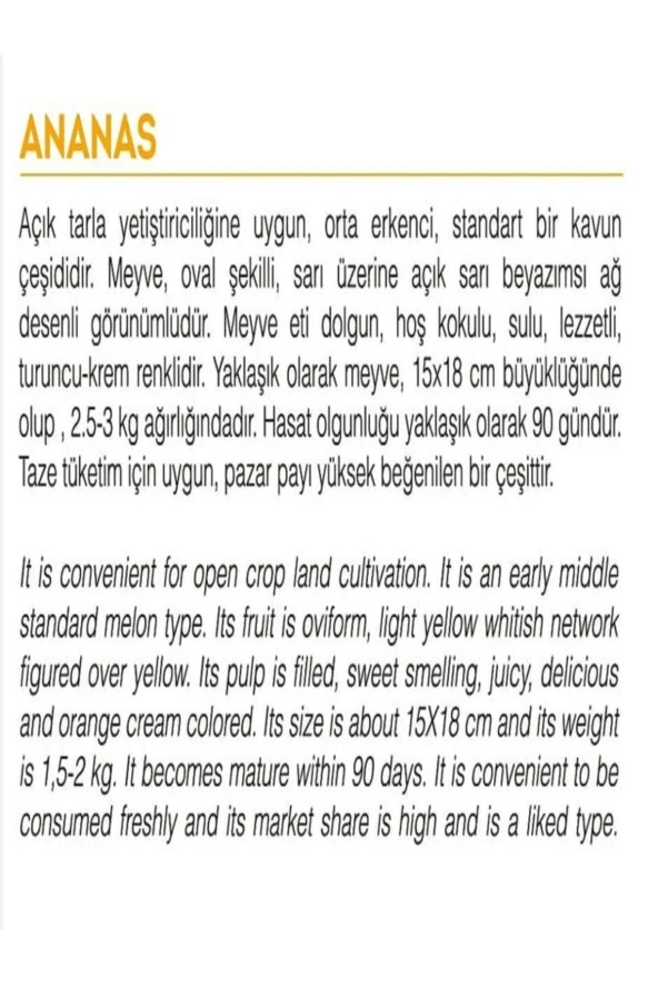 AGRODAL TARIM Ata Tohumu Yerli Doğal Yazlık Bal Kavun Ananas Kavun Tohumu 100 Adet Tohum - Resim 2