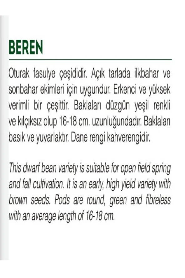 AGRODAL TARIM Ata Tohumu Yerli Oturak Taze Yeşil Fasulye 50 Adet Doğal Tohum - Resim 2
