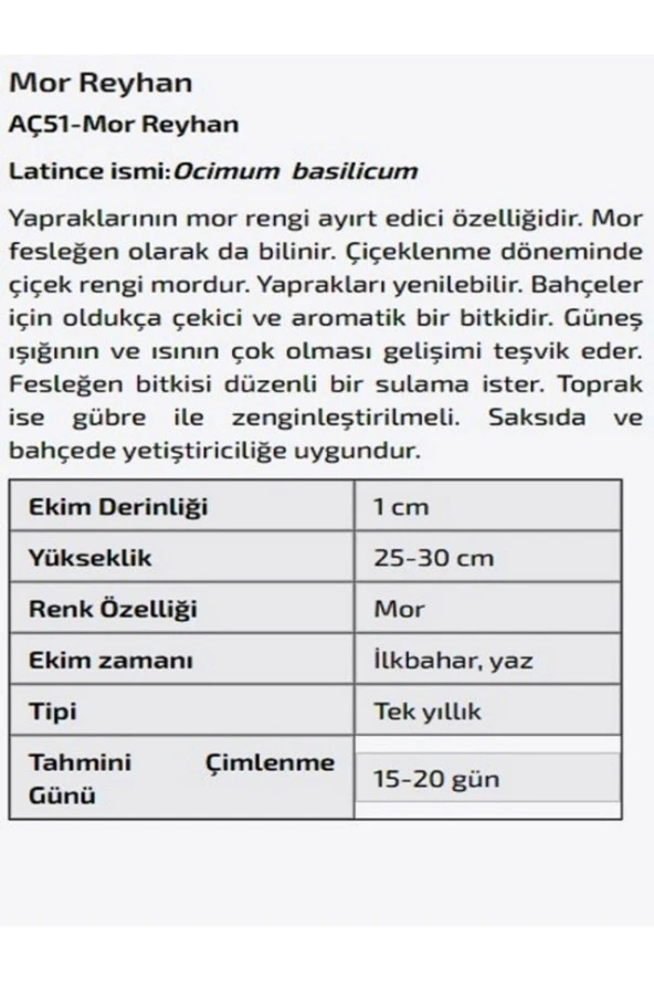 AGRODAL TARIM Yerli Doğal Mis Kokulu Mor Reyhan Çiçeği Tohumu - Resim 2