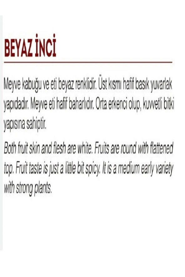 AGRODAL TARIM Ata Tohumu Yerli Doğal Turp Beyaz Inci 500 Adet Tohum - Resim 2