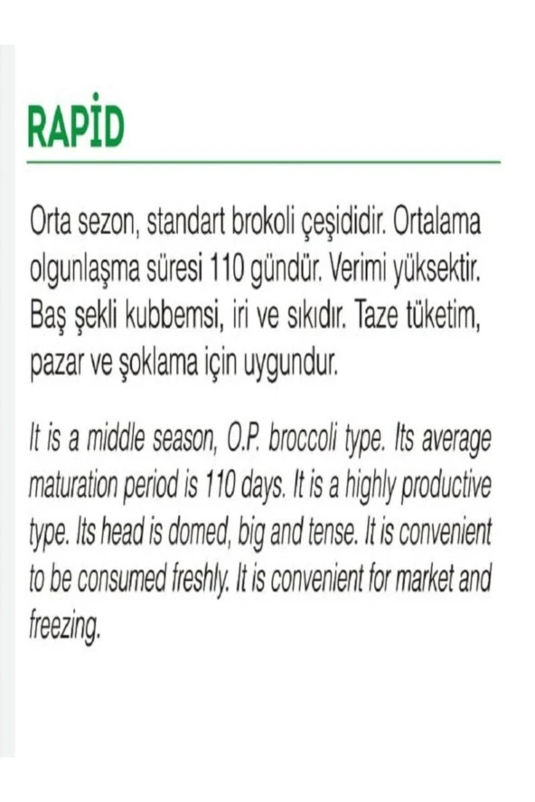 AGRODAL TARIM Yerli Doğal Brokoli Çeşit Rapid 100 Adet Sebze Tohumu - Resim 2